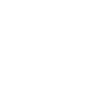 Password
